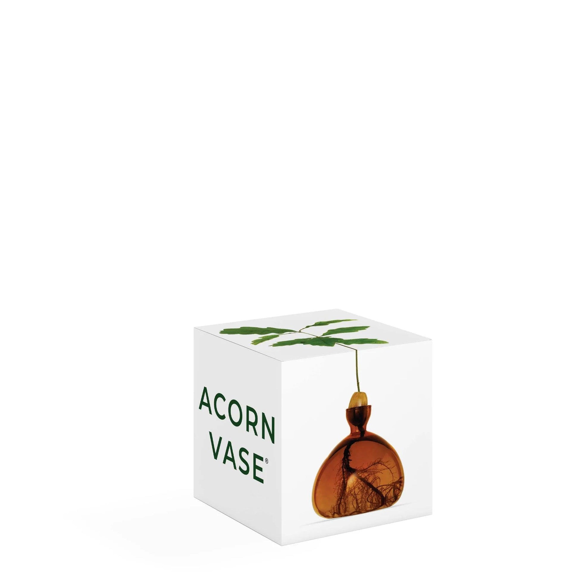 Acorn Vase - Russet Brown - Gigglewick Gallery
