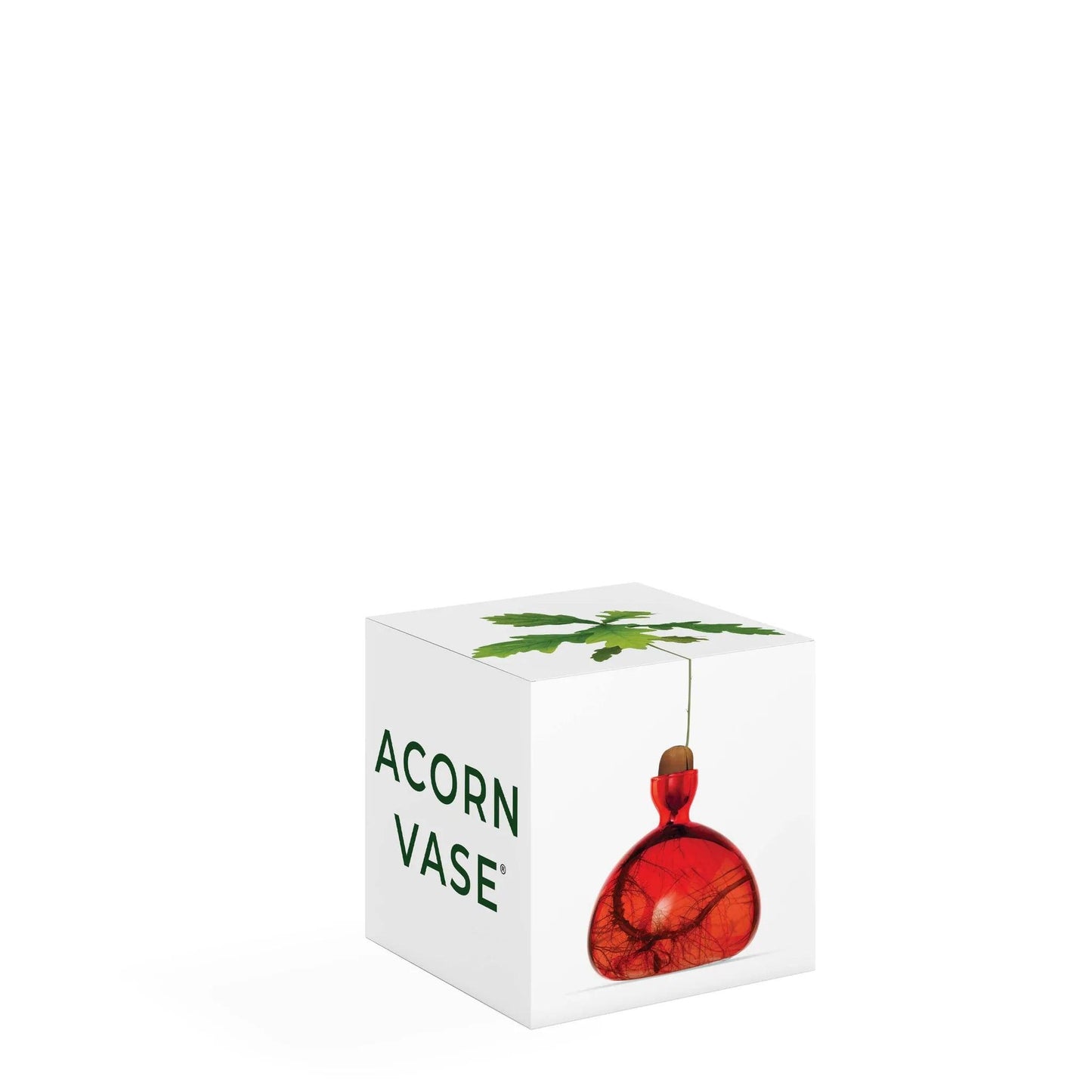 Acorn Vase - Scarlet Red - Gigglewick Gallery