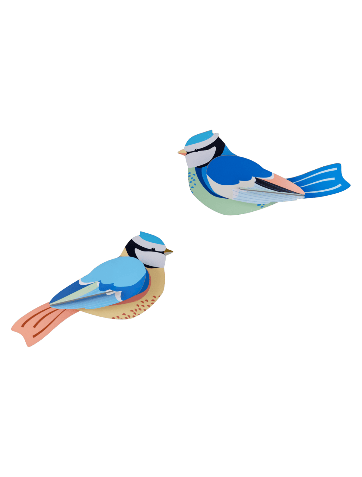 Garden Birds - Blue Tits