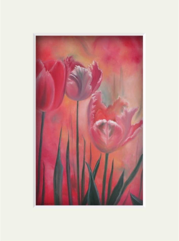 'Colourful Tulips' Limited Edition Mounted Prints - Gigglewick Gallery