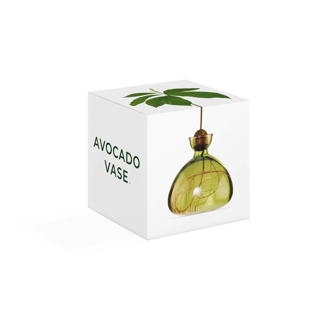 Grass Green Avocado Vase - Gigglewick Gallery