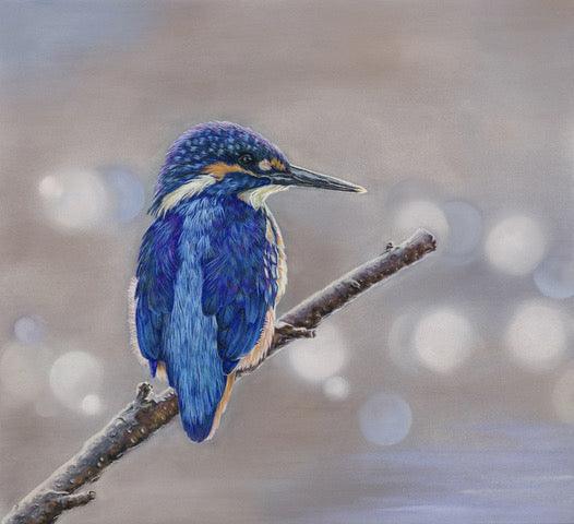 Kingfisher ll - Gigglewick Gallery
