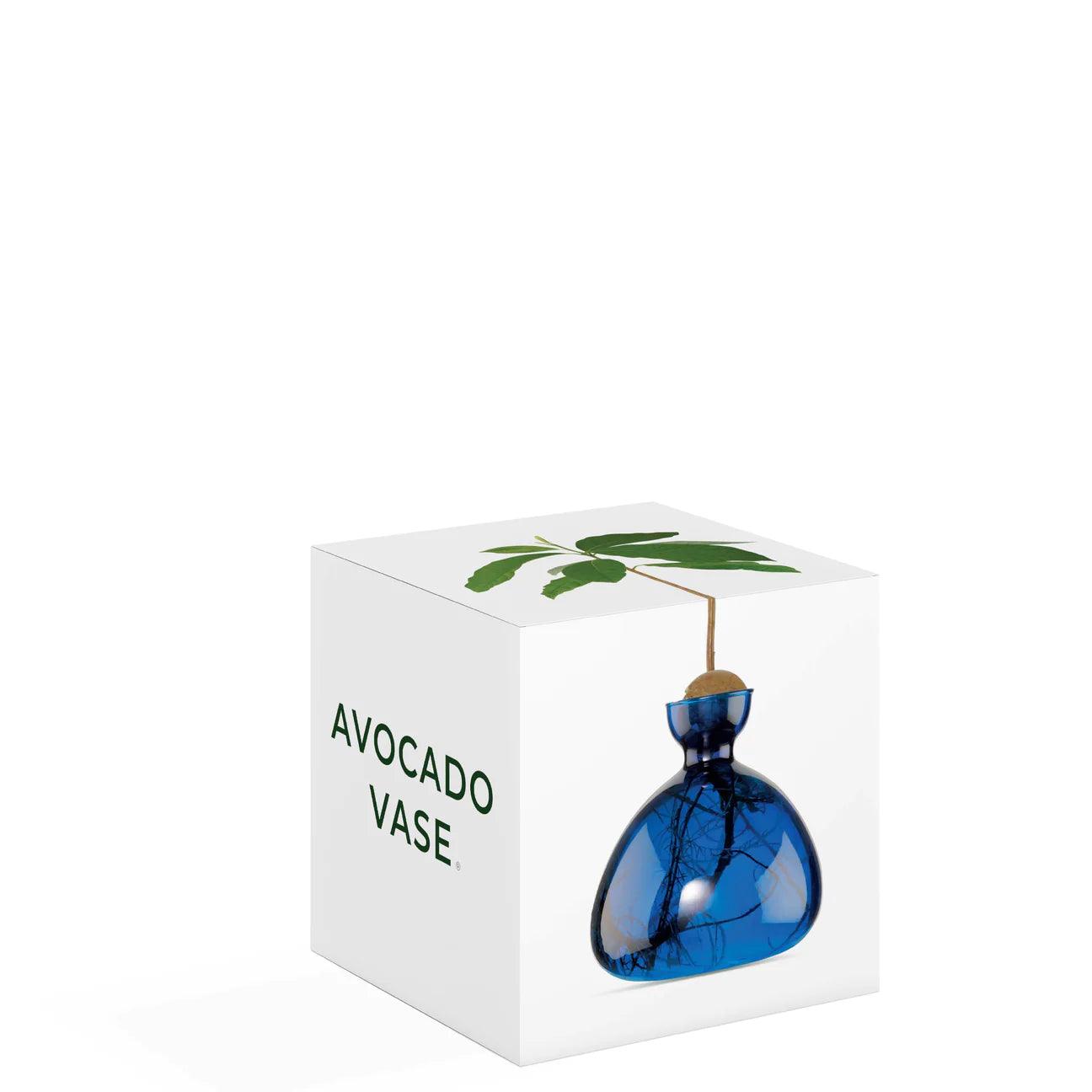 Lapis Blue Avocado Vase - Gigglewick Gallery