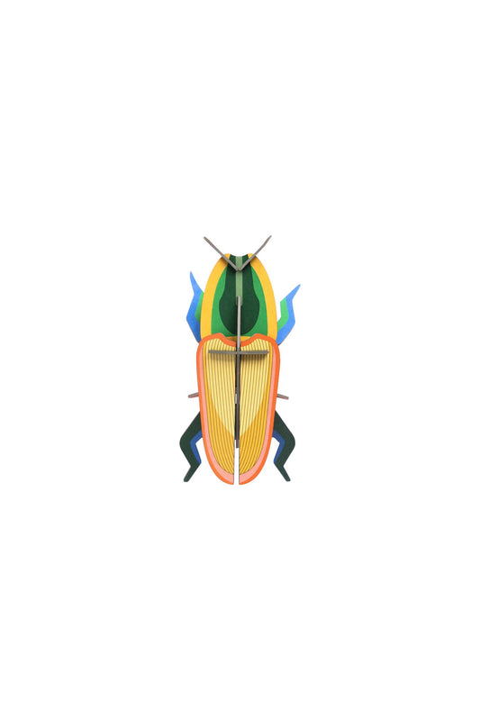 Madagascar Beetle