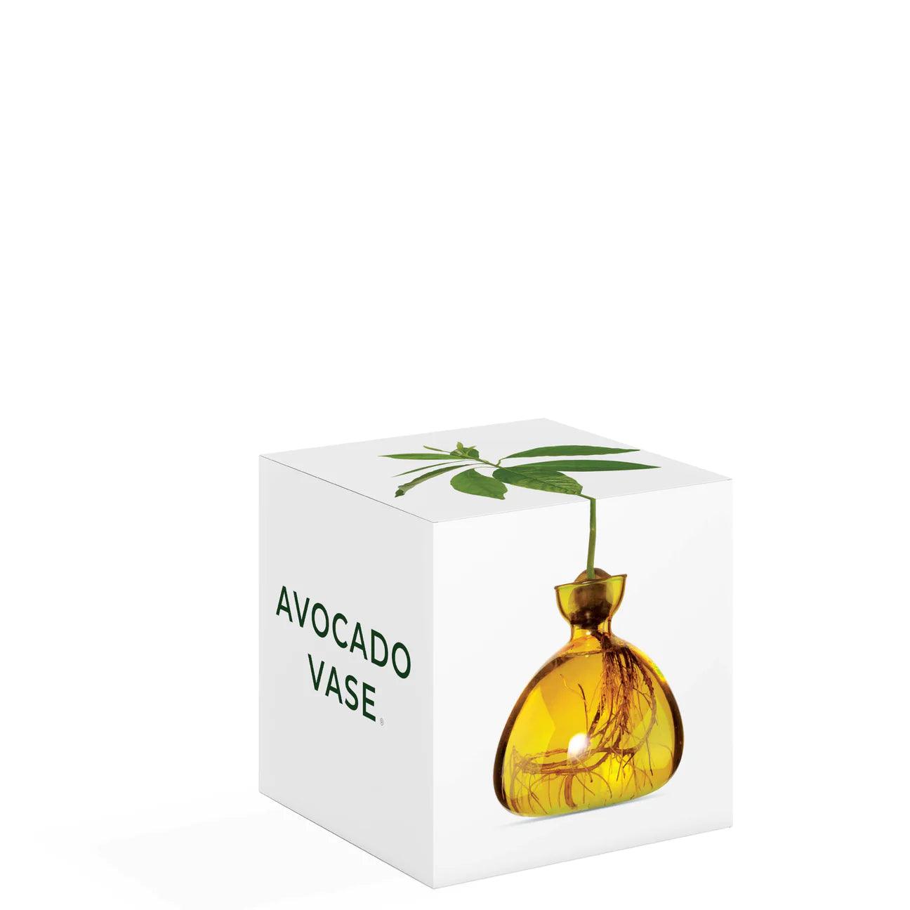 Mellow Yellow Avocado Vase - Gigglewick Gallery