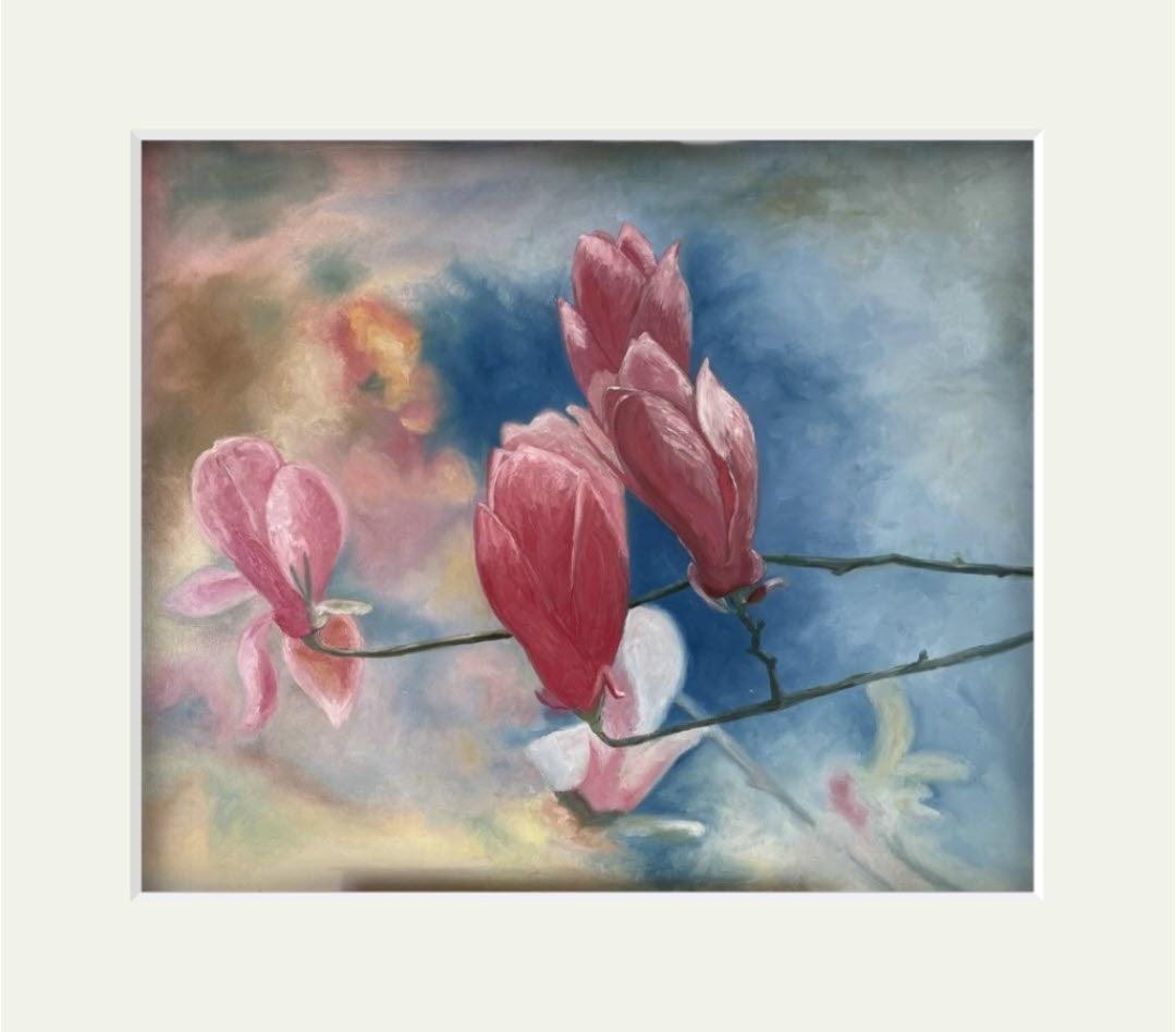 'Pink Magnolia' Limited Edition Mounted Prints - Gigglewick Gallery