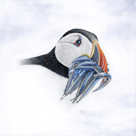 Puffin ‘ ‘Excess Baggage’ - Gigglewick Gallery
