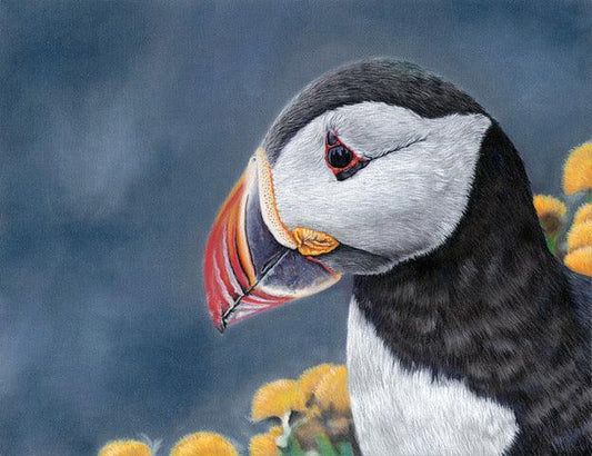 Puffin ll - Gigglewick Gallery