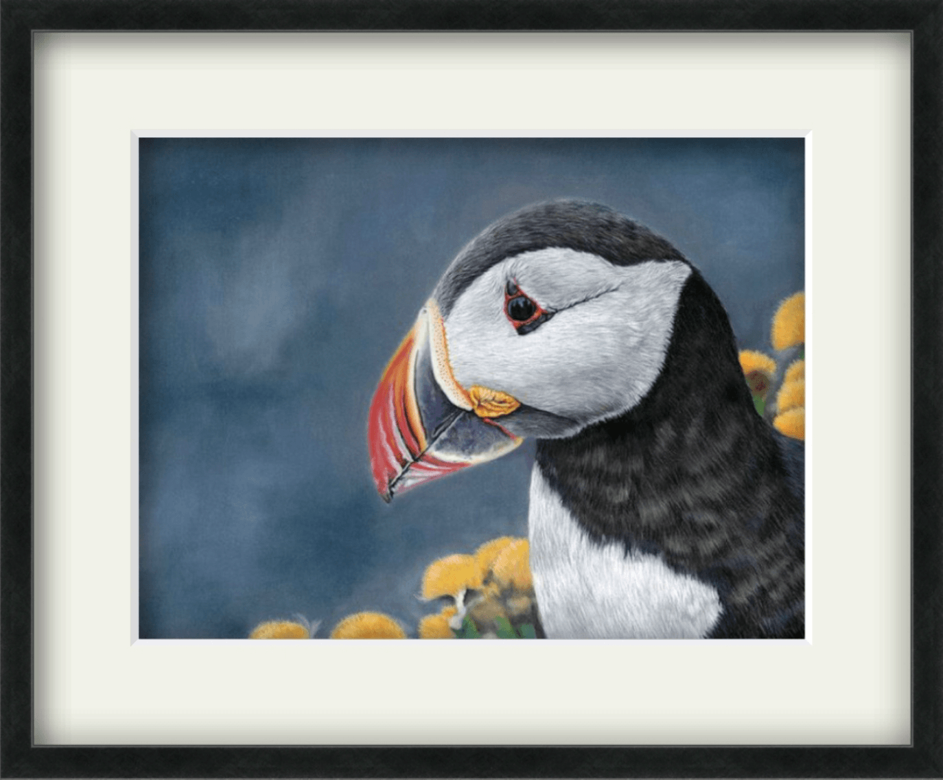 Puffin ll - Gigglewick Gallery