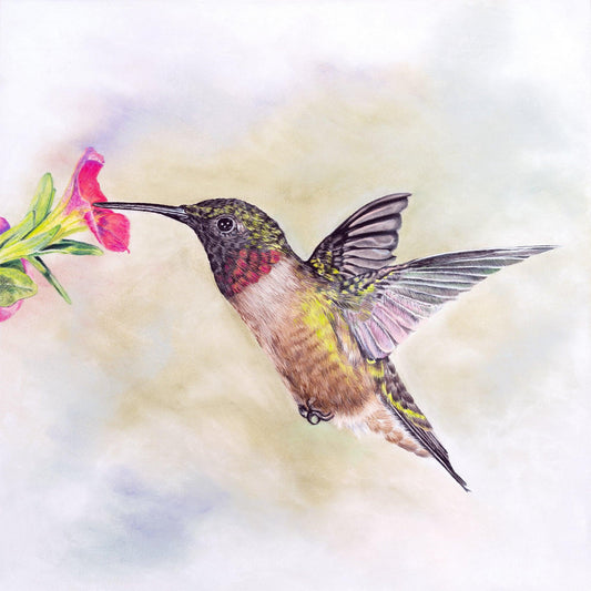 Ruby Throated Hummingbird - Gigglewick Gallery