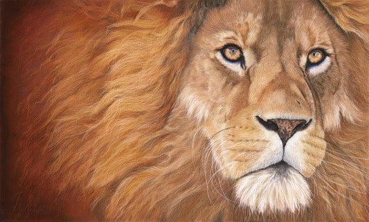 Savanna Monarch - Gigglewick Gallery