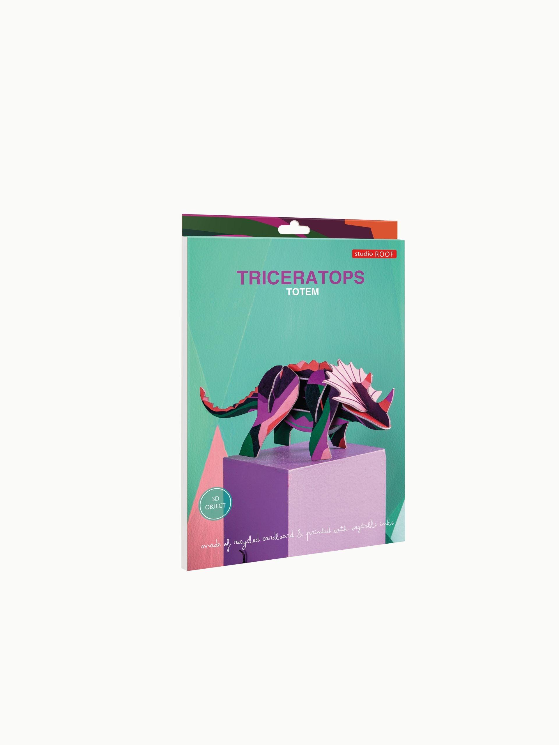 Small Triceratops - Gigglewick Gallery