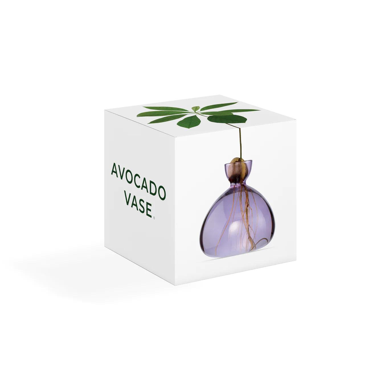 Spring Lilac Avocado Vase - Gigglewick Gallery