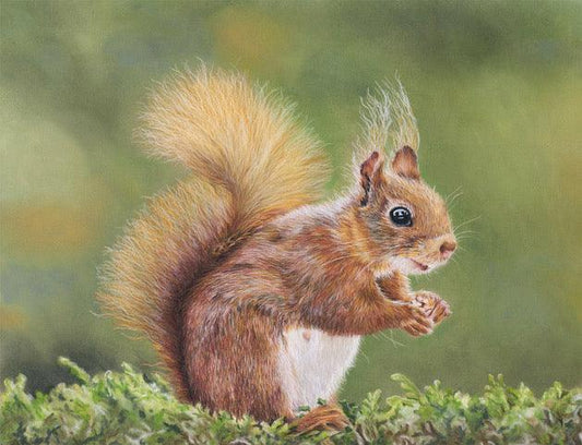Squirrel - Gigglewick Gallery