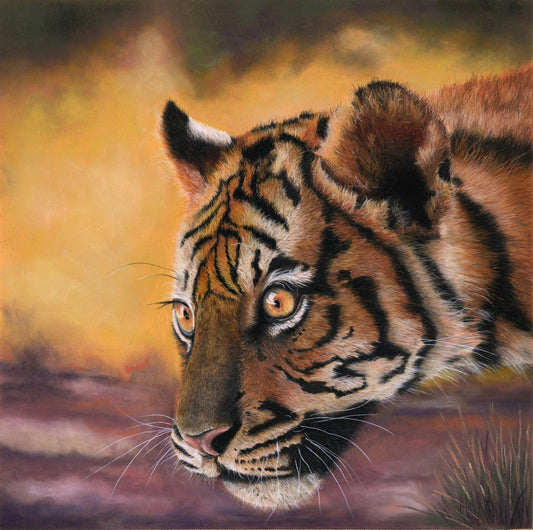 Tiger Club - On the Prowl - Gigglewick Gallery
