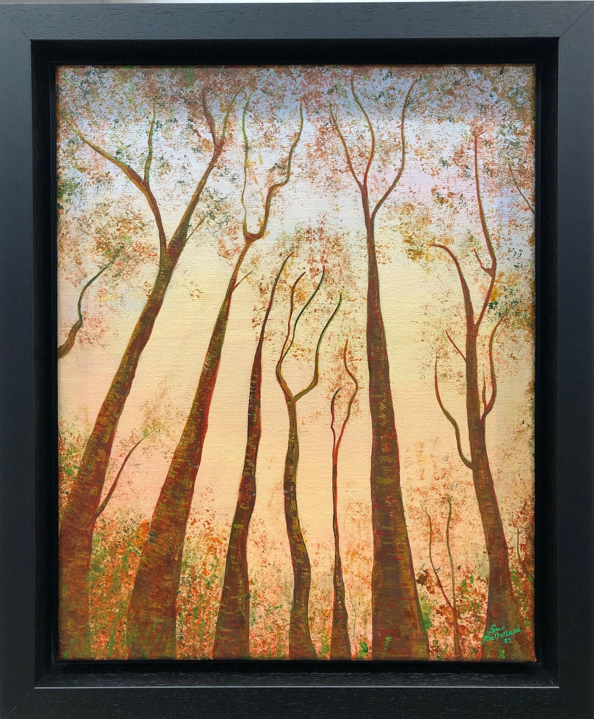 Forest Reach - Gigglewick Gallery