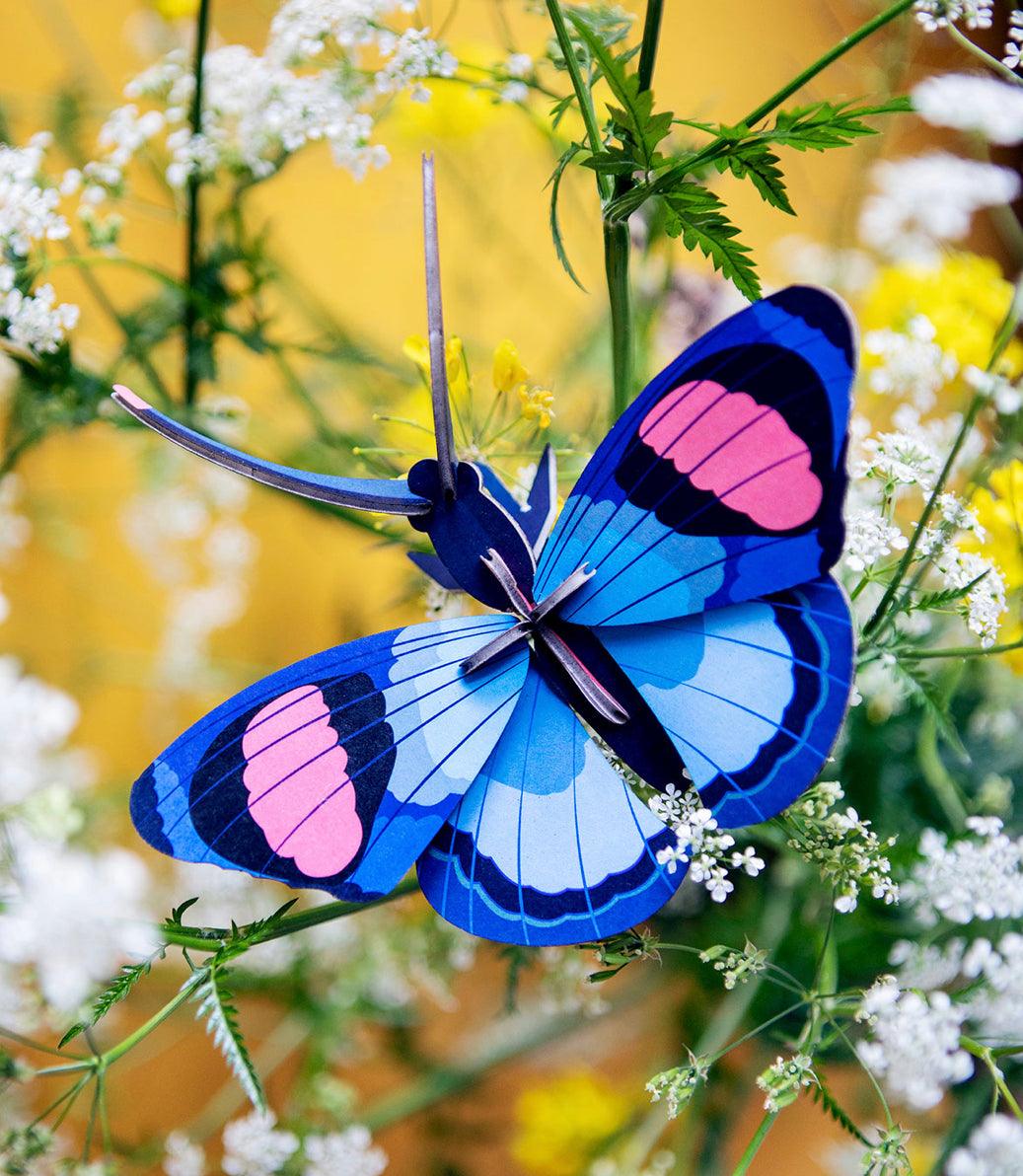 Peacock Butterfly - Gigglewick Gallery